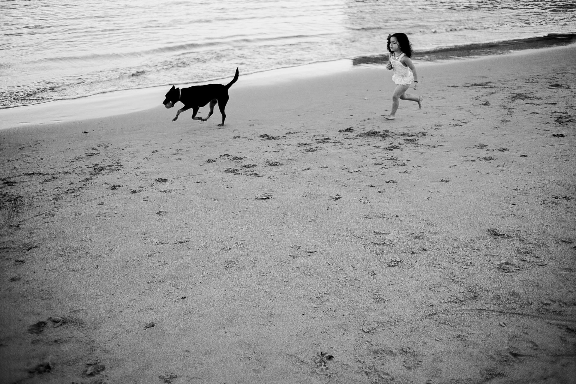 Foto ELA É A MENINA // SESSÃO DE FAMÍLIA EM CASCAIS Foto ELA É A MENINA // SESSÃO DE FAMÍLIA EM CASCAIS - Imagem 32