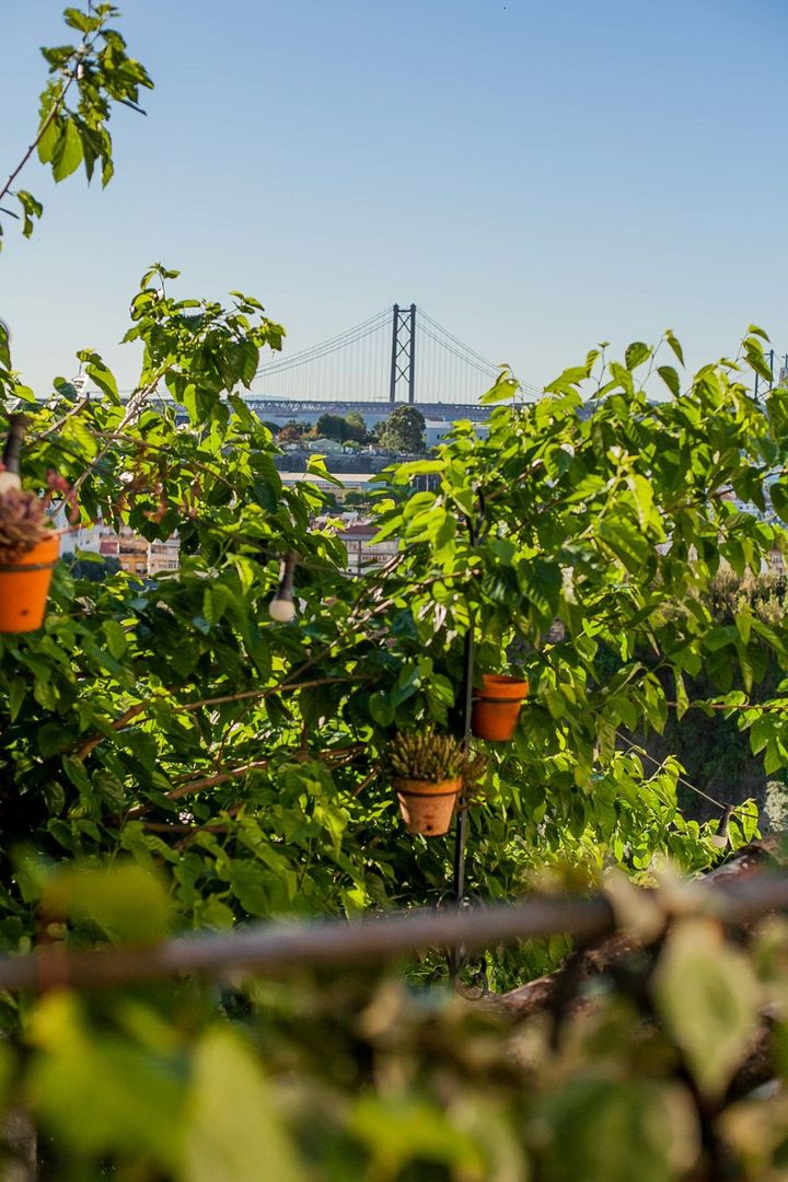 Foto AMAR LISBOA Foto AMAR LISBOA - Imagem 1