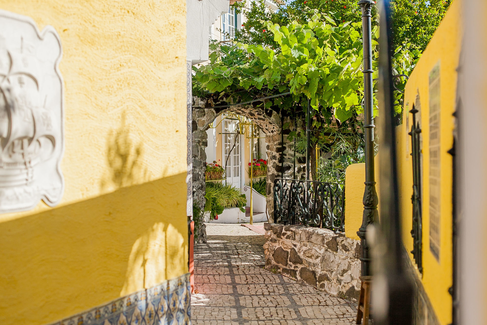 Foto WEDDING PHOTOGRAPHER PORTUGAL - AMAR LISBOA Foto WEDDING PHOTOGRAPHER PORTUGAL - AMAR LISBOA - Imagem 3