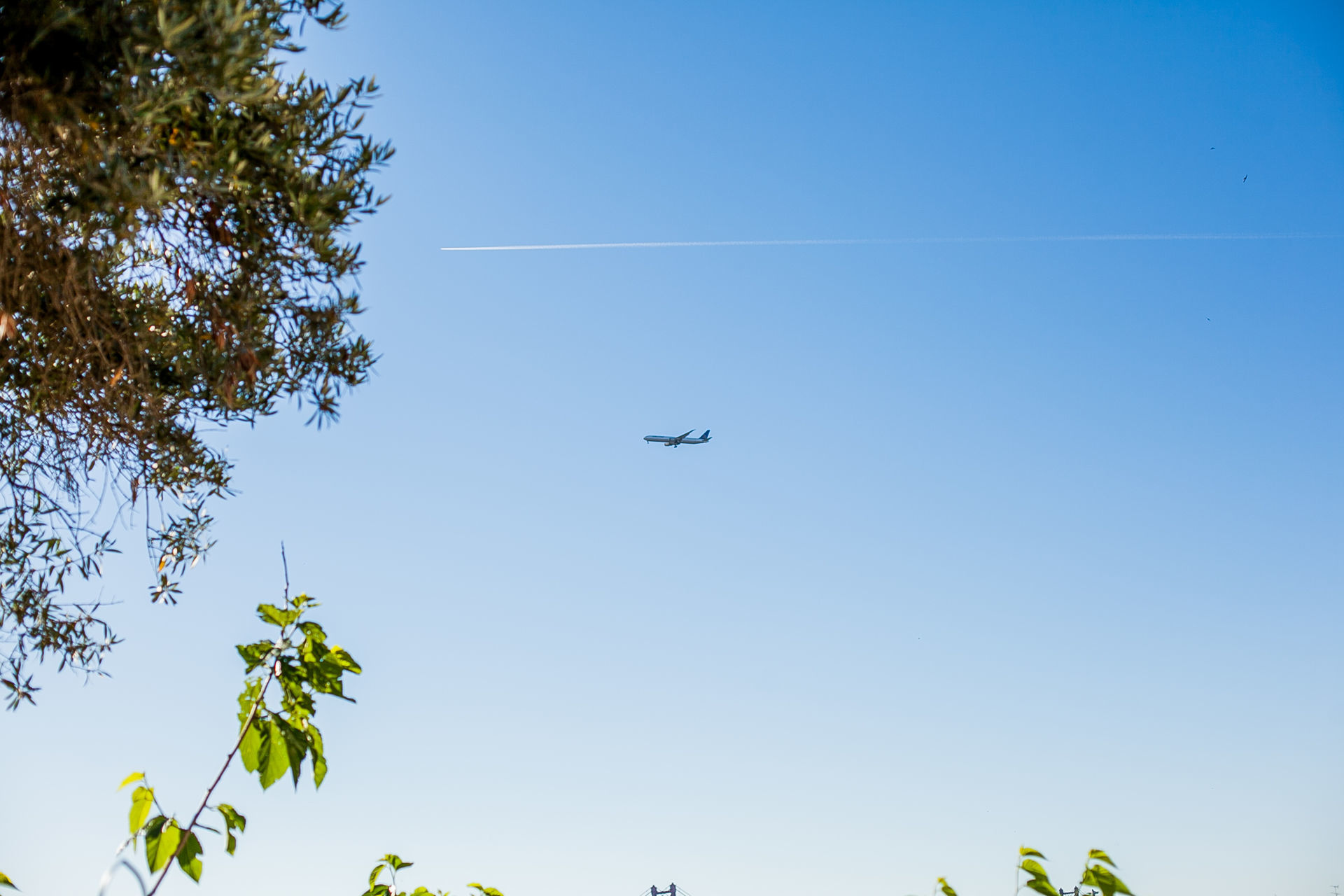 Foto WEDDING PHOTOGRAPHER PORTUGAL - AMAR LISBOA Foto WEDDING PHOTOGRAPHER PORTUGAL - AMAR LISBOA - Imagem 2