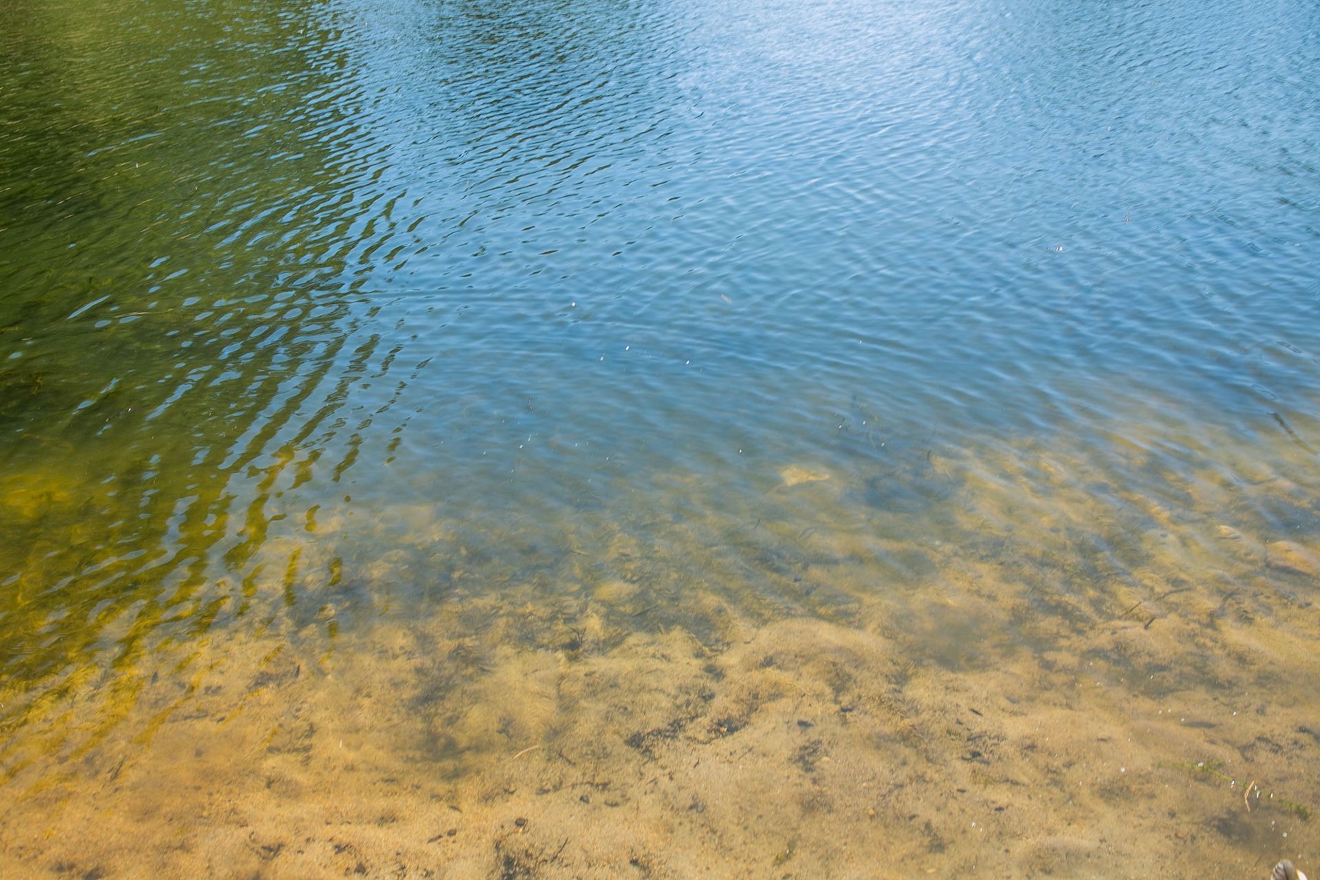 Foto LAGOA AZUL EM SINTRA | SESSÃO FAMÍLIA Foto LAGOA AZUL EM SINTRA | SESSÃO FAMÍLIA - Imagem 12