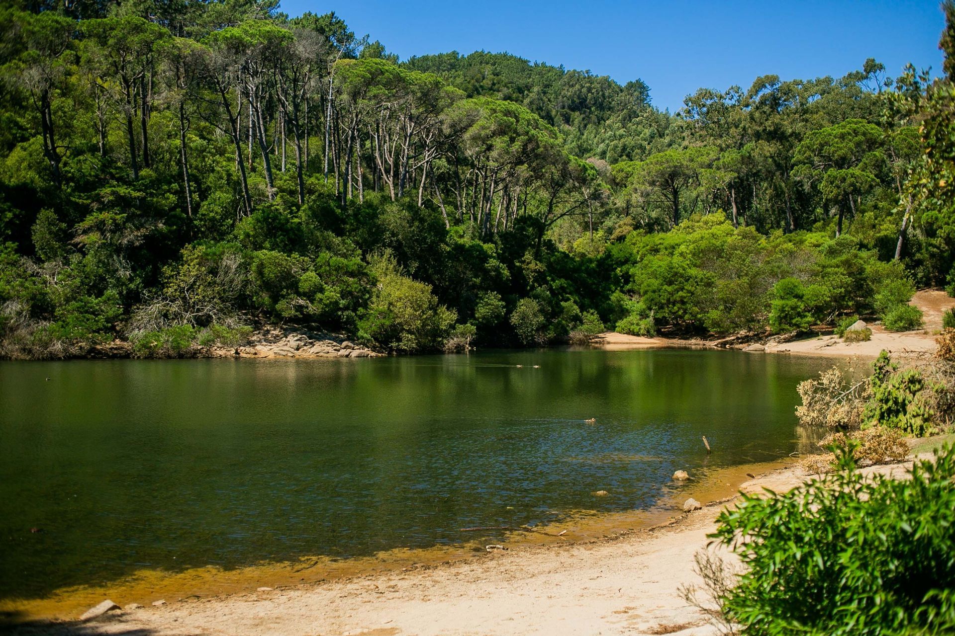 Foto LAGOA AZUL EM SINTRA | SESSÃO FAMÍLIA Foto LAGOA AZUL EM SINTRA | SESSÃO FAMÍLIA - Imagem 8
