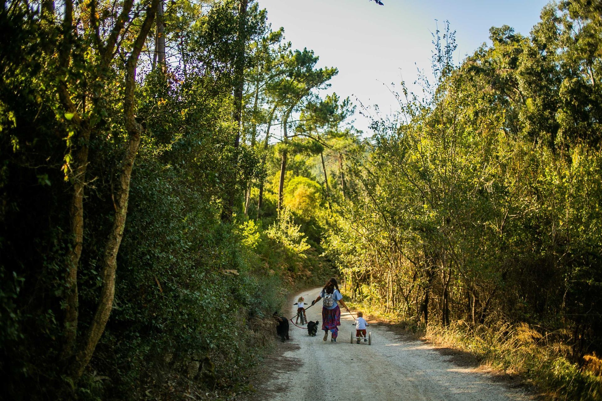 Foto LAGOA AZUL EM SINTRA | SESSÃO FAMÍLIA Foto LAGOA AZUL EM SINTRA | SESSÃO FAMÍLIA - Imagem 60