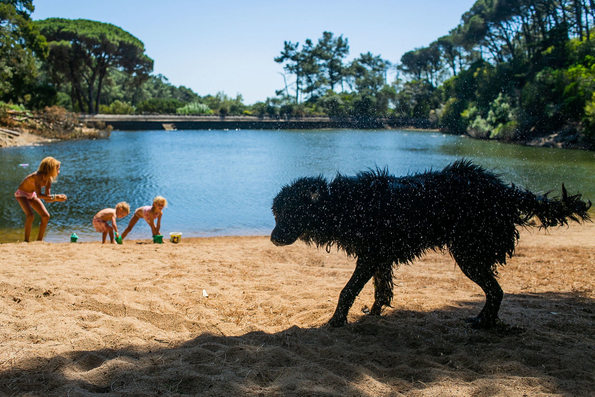 Foto LAGOA AZUL EM SINTRA | SESSÃO FAMÍLIA Foto LAGOA AZUL EM SINTRA | SESSÃO FAMÍLIA - Imagem 66