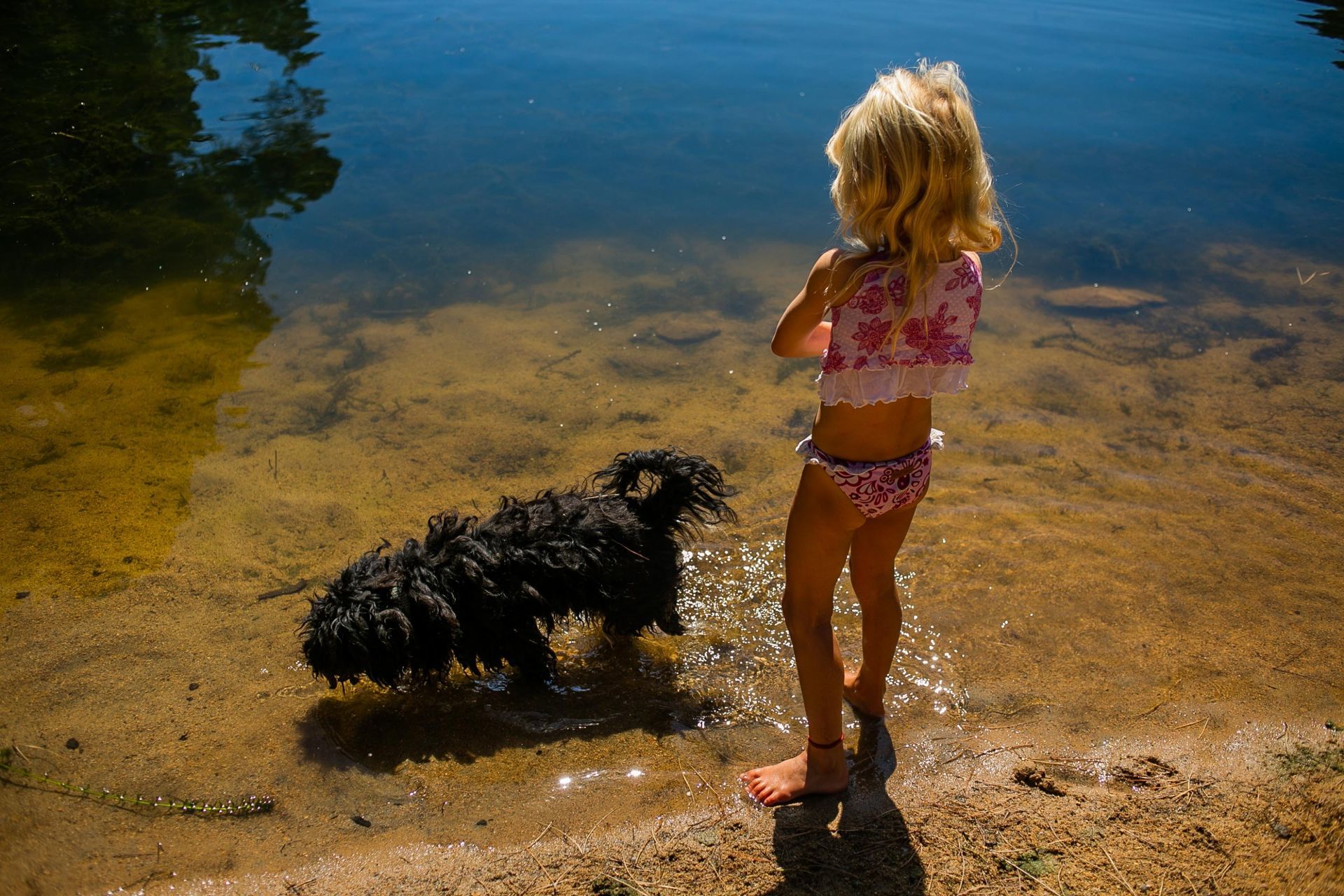 Foto LAGOA AZUL EM SINTRA | SESSÃO FAMÍLIA Foto LAGOA AZUL EM SINTRA | SESSÃO FAMÍLIA - Imagem 75