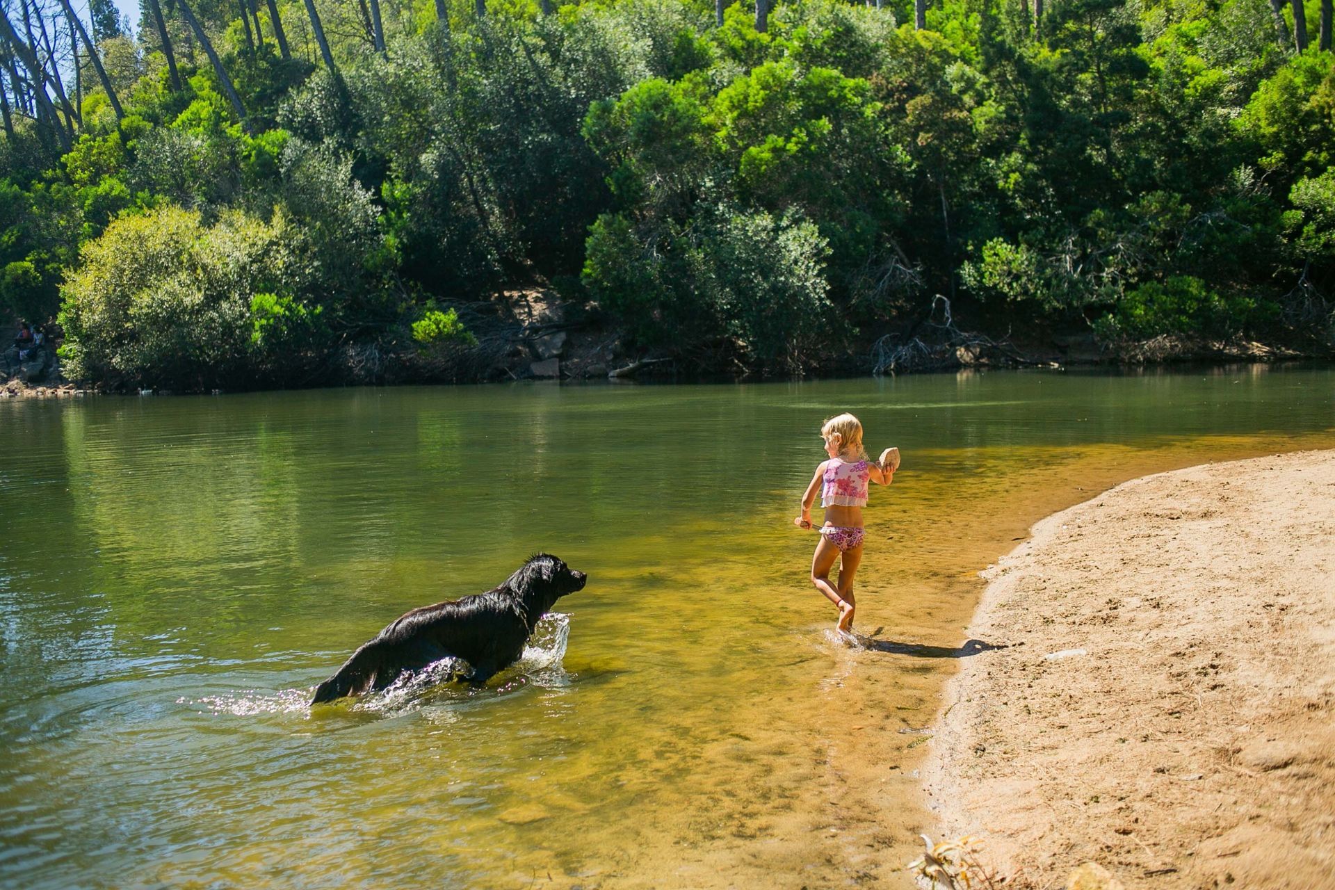 Foto LAGOA AZUL EM SINTRA | SESSÃO FAMÍLIA Foto LAGOA AZUL EM SINTRA | SESSÃO FAMÍLIA - Imagem 79