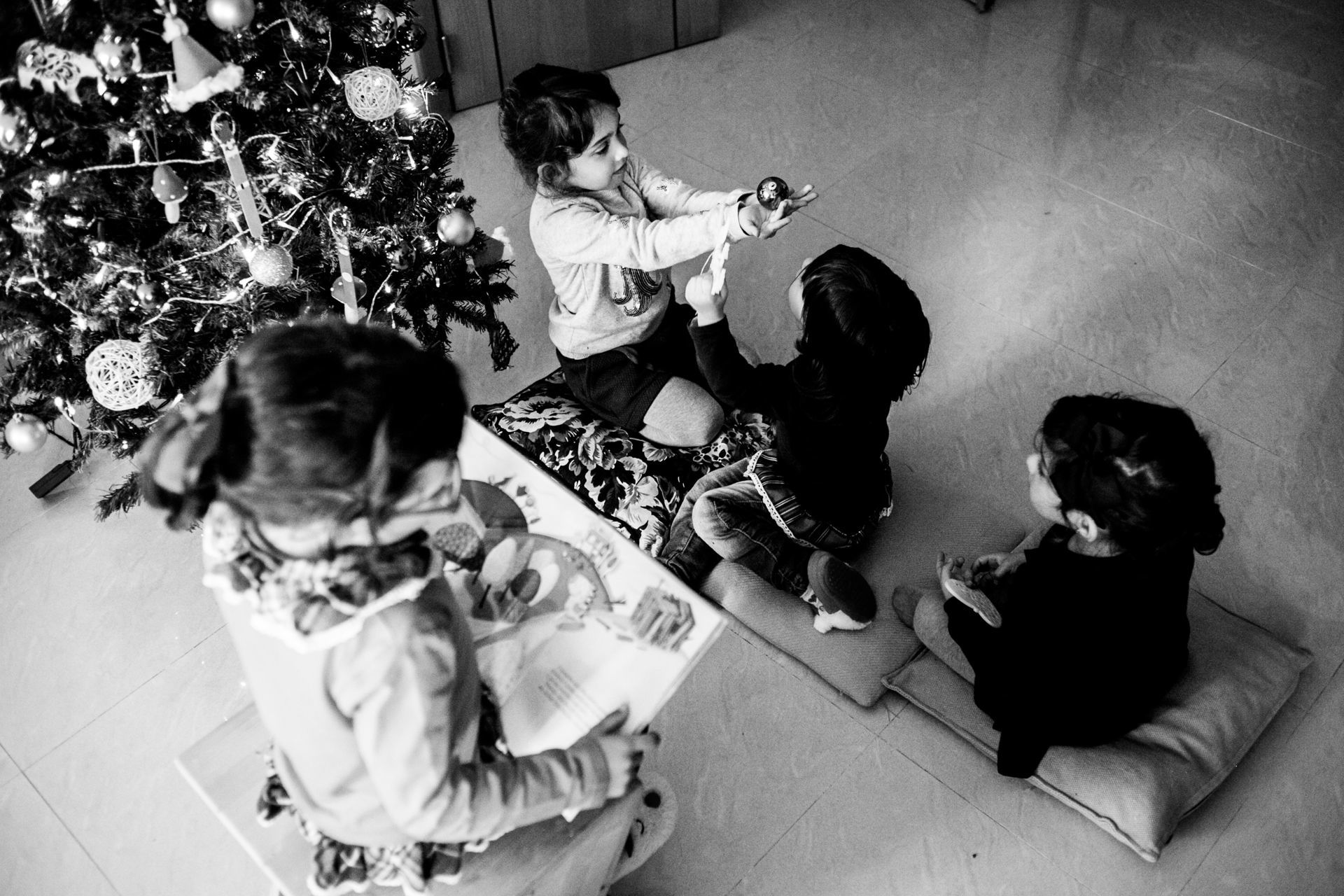Foto SESSÃO NATAL EM CASA Foto SESSÃO NATAL EM CASA - Imagem 2