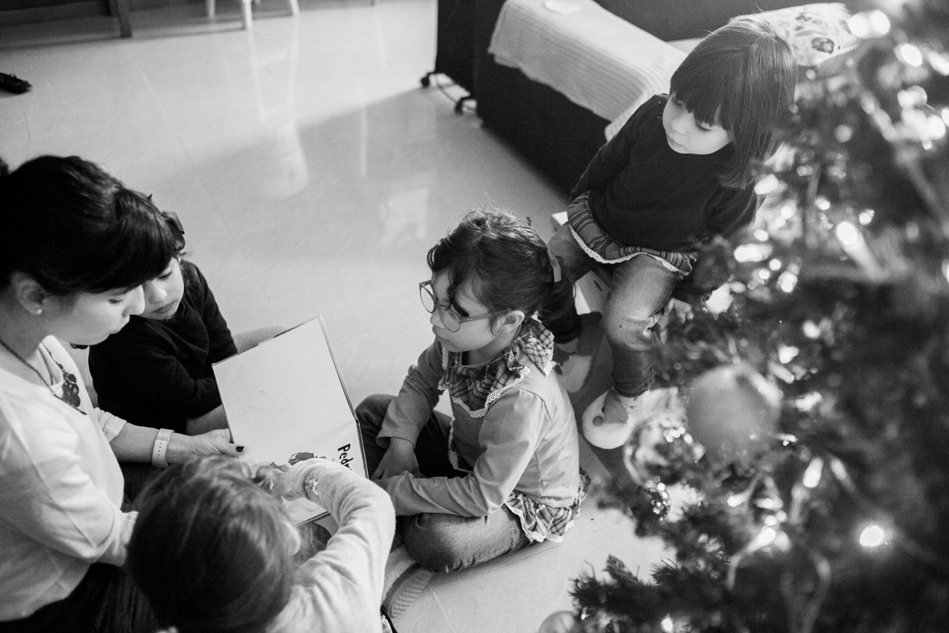 Foto SESSÃO NATAL EM CASA Foto SESSÃO NATAL EM CASA - Imagem 23