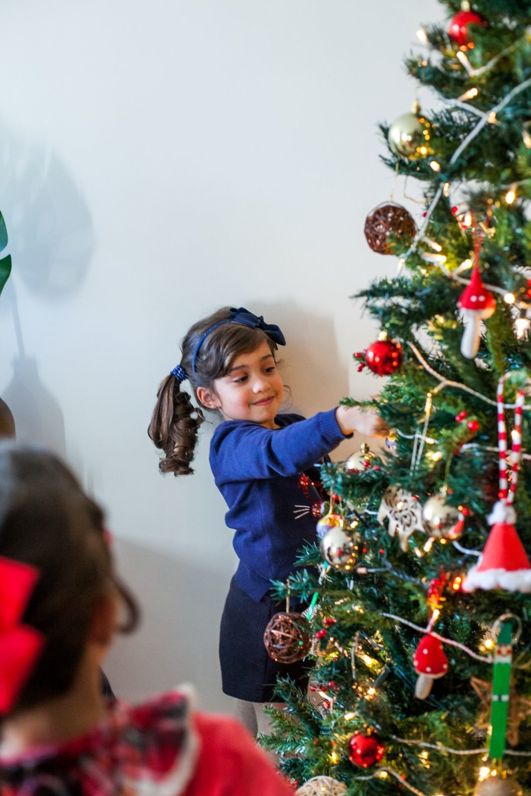Foto SESSÃO NATAL EM CASA Foto SESSÃO NATAL EM CASA - Imagem 16