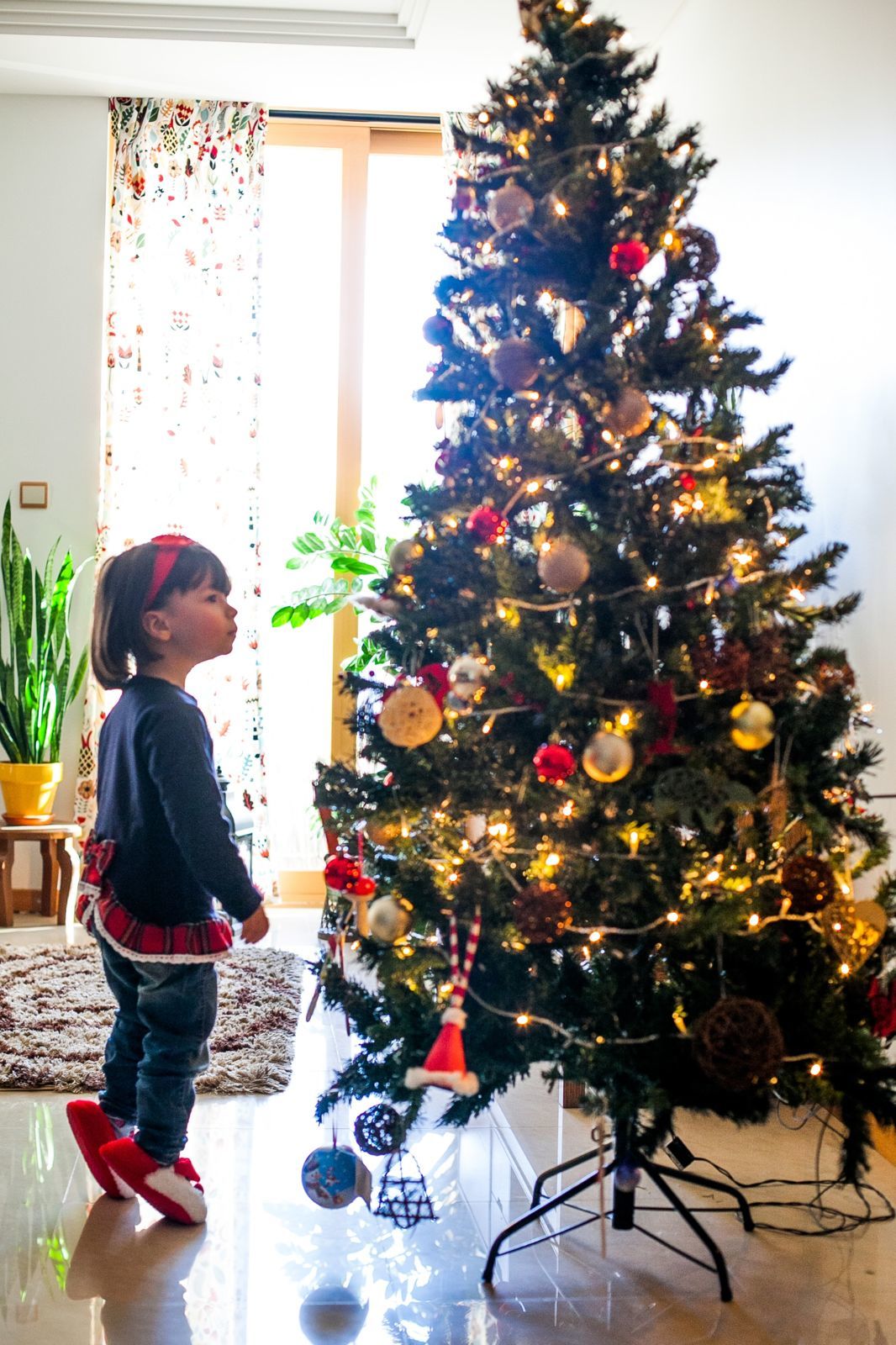 Foto SESSÃO NATAL EM CASA Foto SESSÃO NATAL EM CASA - Imagem 15