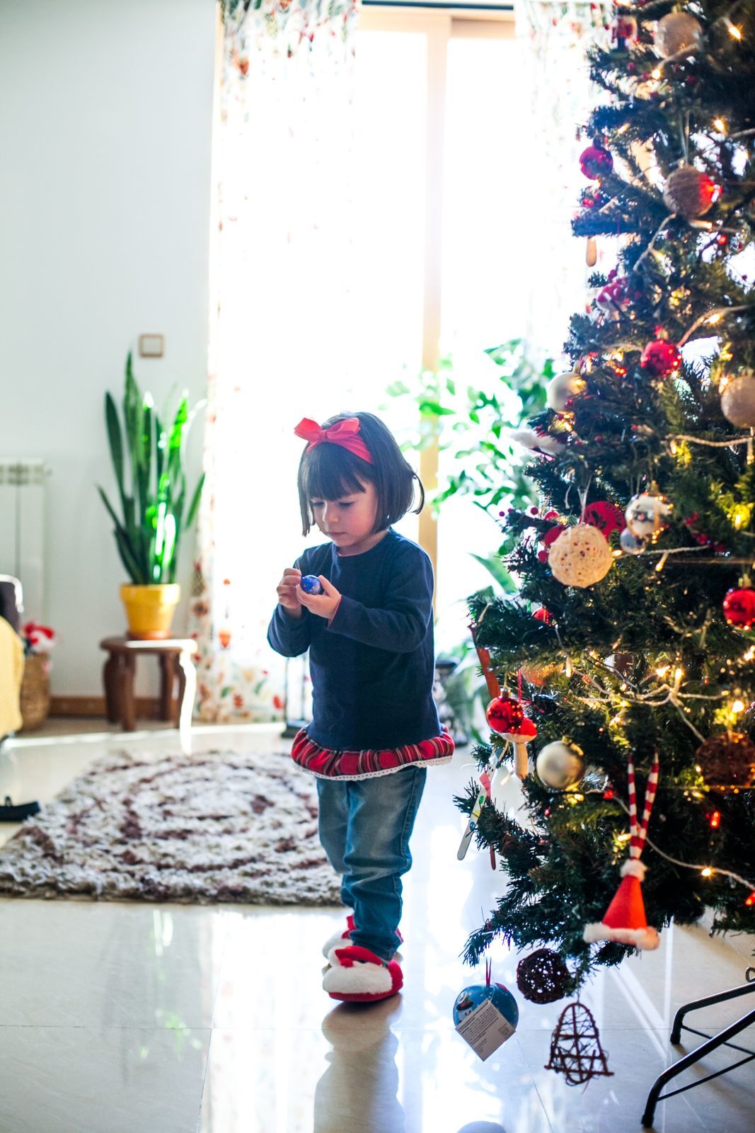 Foto SESSÃO NATAL EM CASA Foto SESSÃO NATAL EM CASA - Imagem 17